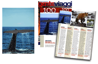 whale safari gente viaggi